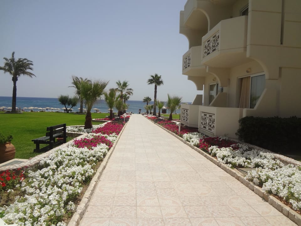 Dies ist nur ein Weg von vielen zum Strand Rodos Palladium Leisure & Wellness