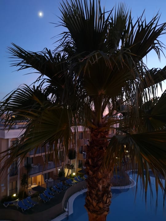 Ausblick Sol Sancti Petri Apartamentos