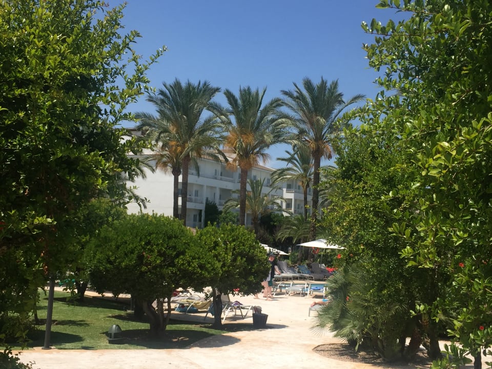 Ausblick Prinsotel La Dorada