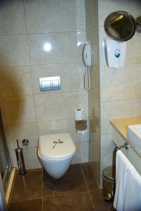 Zimmer Well Palace Side