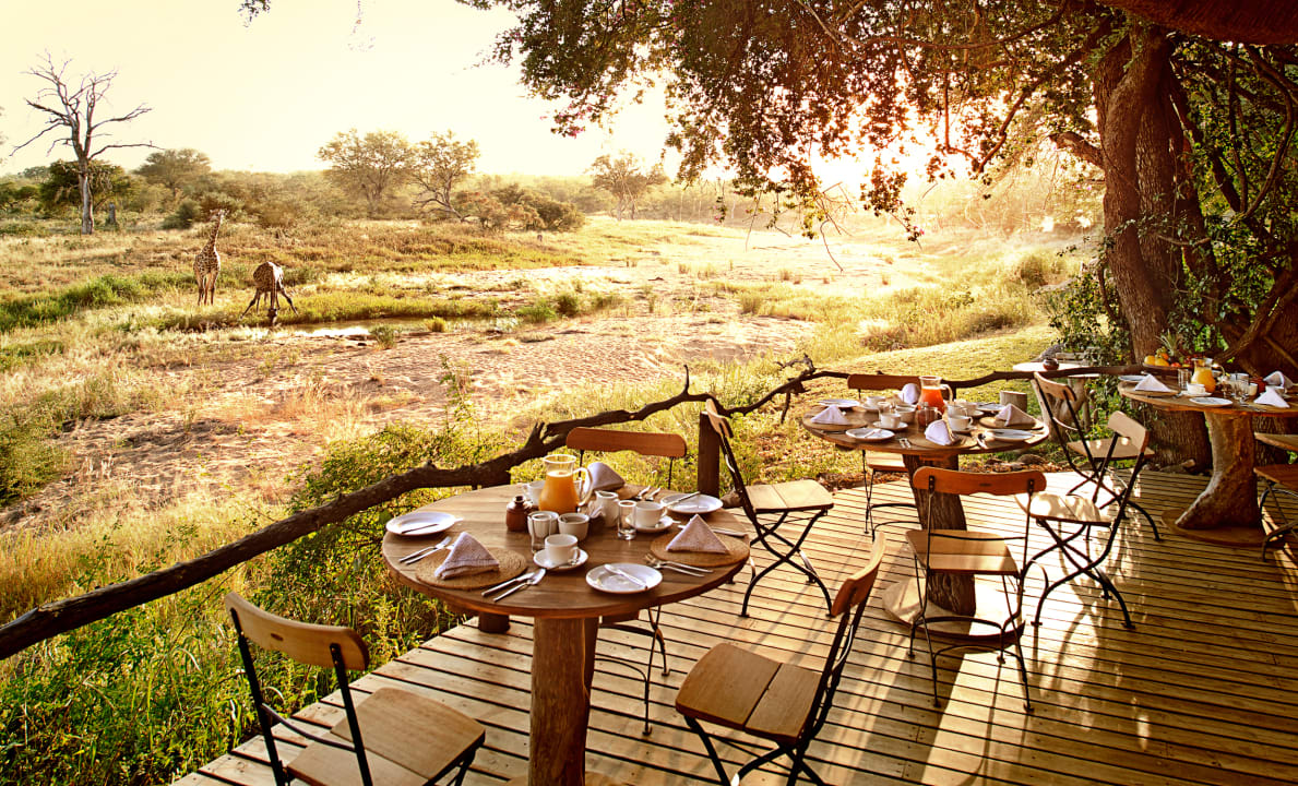 Restaurant Motswari Private Game Reserve & Geiger's Camp