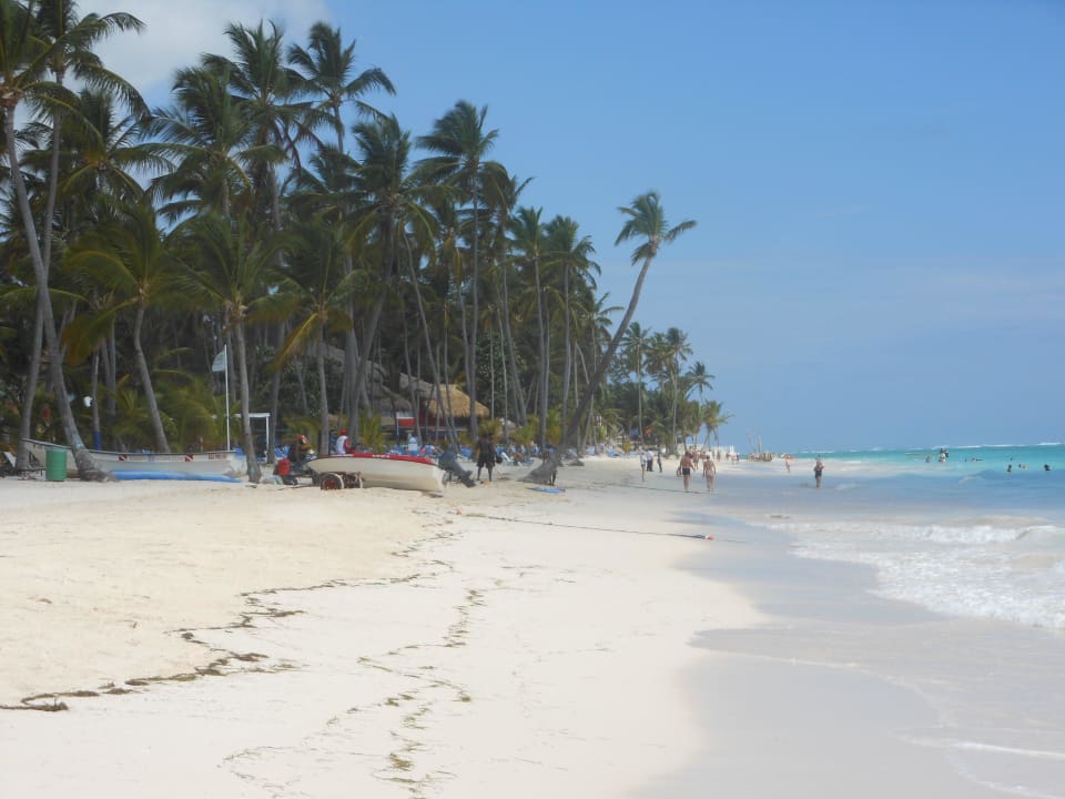 Ewig lang und super schön Meliá Caribe Beach Resort-All Inclusive