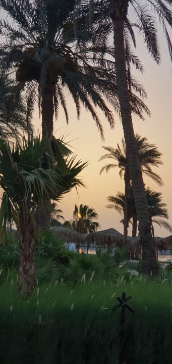 Gartenanlage Serry Beach Resort