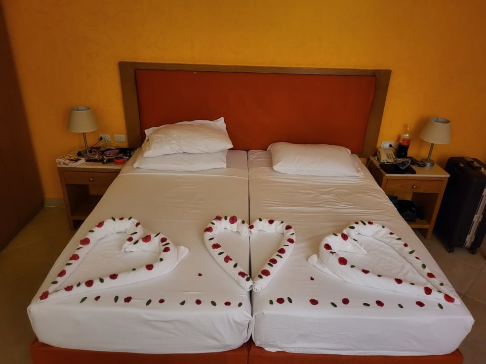 Zimmer Hotel Gorgonia Beach Resort