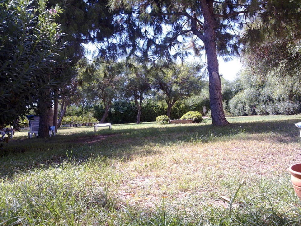 Liegewiese am Ruhepool Club Turtas Beach Hotel