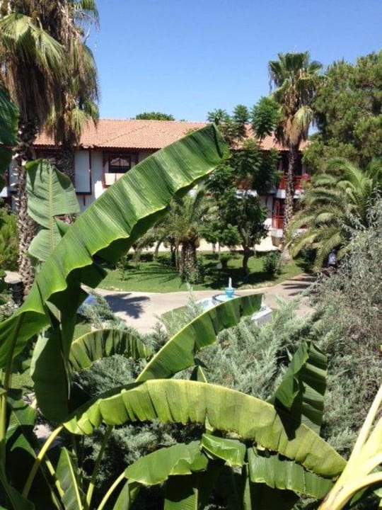 Zimmerausblick Haus 14 Ali Bey Club