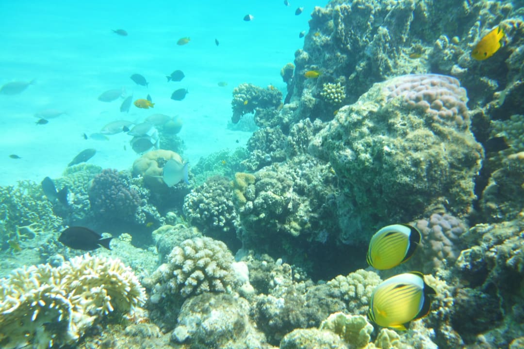 Strand Premier Le Reve Hotel & Spa