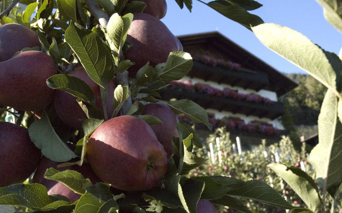 Apple trees and the house Residence Innerfarmerhof