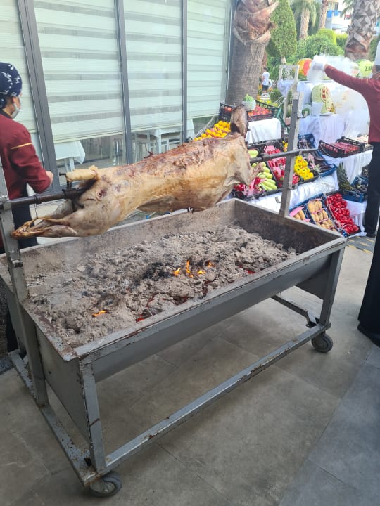 Gastro Grand Seker Hotel