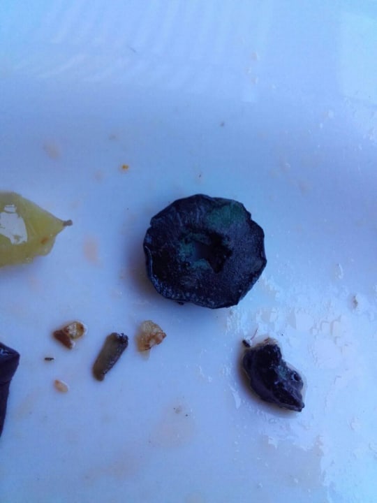 Verschimmelte Oliven Well Palace Side