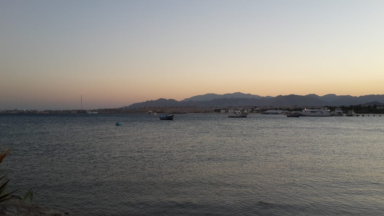Ausblick Eagles Paradise Abu Soma