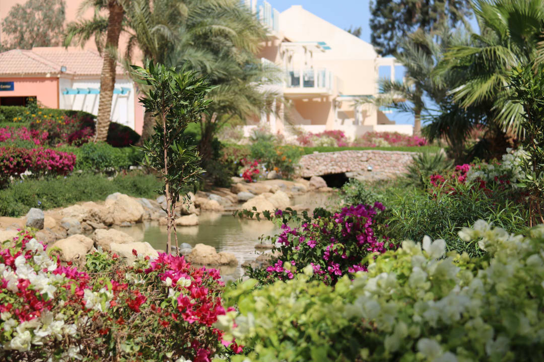 Gartenanlage Mövenpick Resort & Spa El Gouna