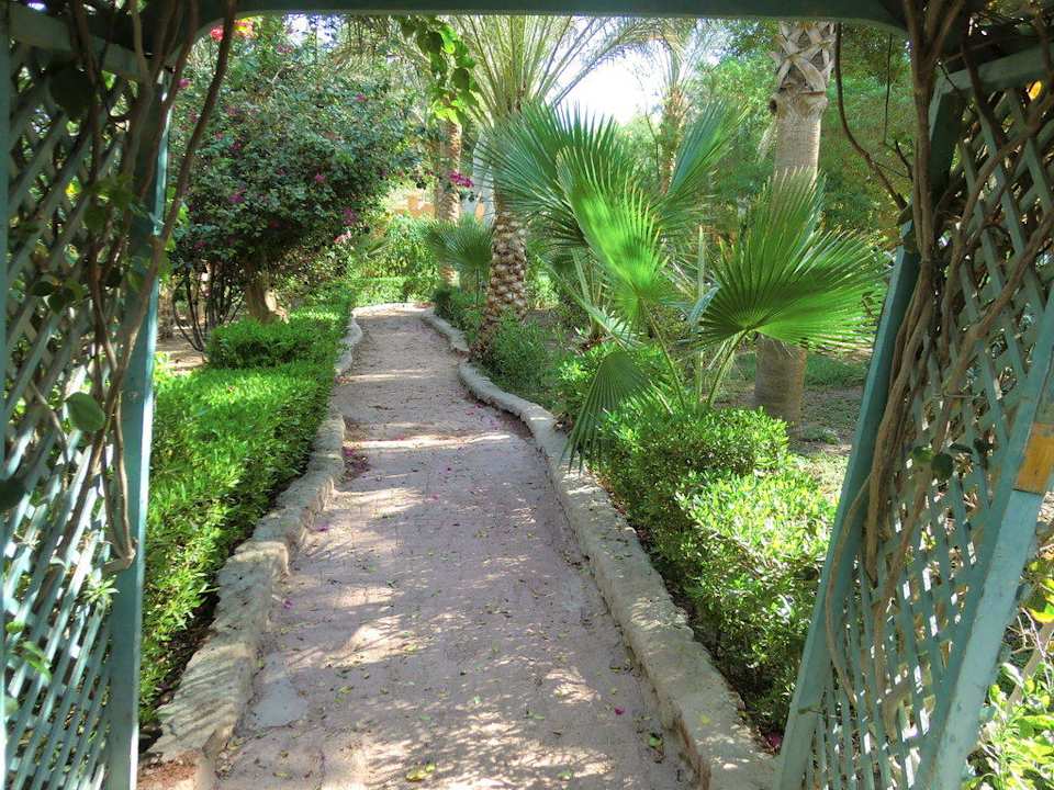 Garten Giftun Azur Resort