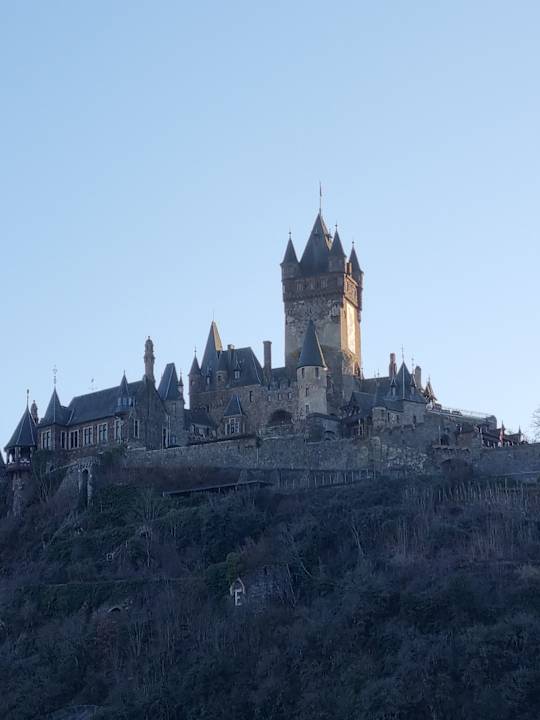 Ausblick Moselstern Hotel Brixiade & Triton