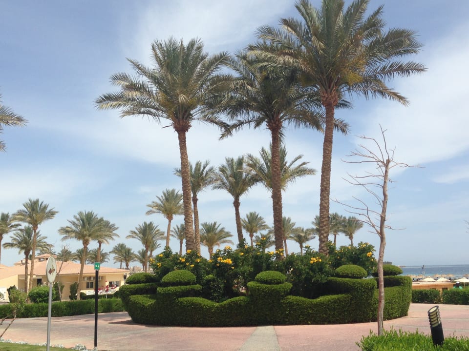 Gartenanlage Cleopatra Luxury Resort Makadi Bay
