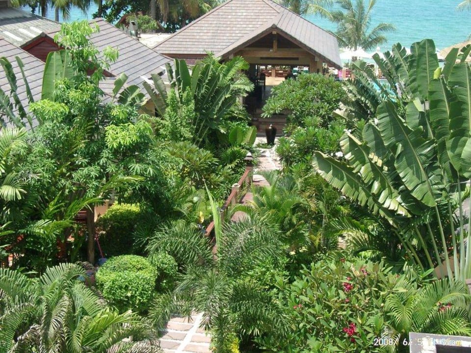 Hotelgarten Samui Jasmine Resort
