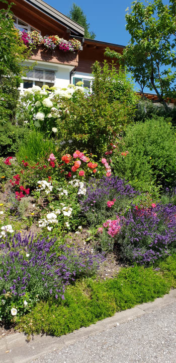 Außenansicht Gästehaus Büchele