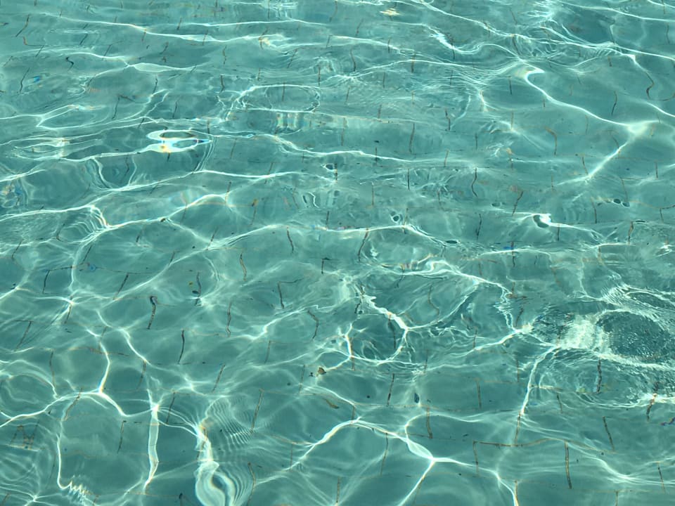 Pool Monachus Family Resort Sorgun