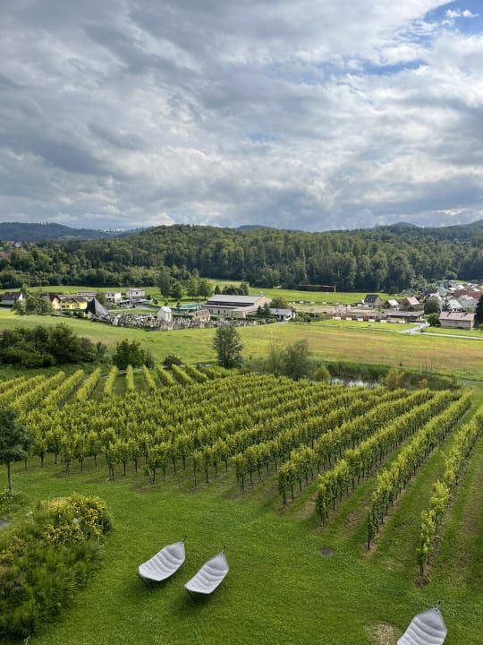 Ausblick LOISIUM Wine & Spa Hotel Südsteiermark