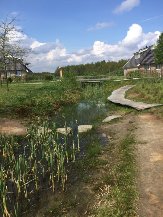 Gartenanlage Ferienpark Landal Orveltermarke