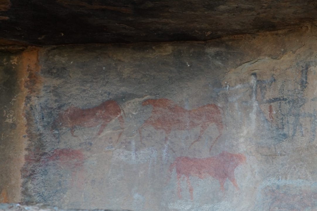 Sonstiges Ganora Guestfarm