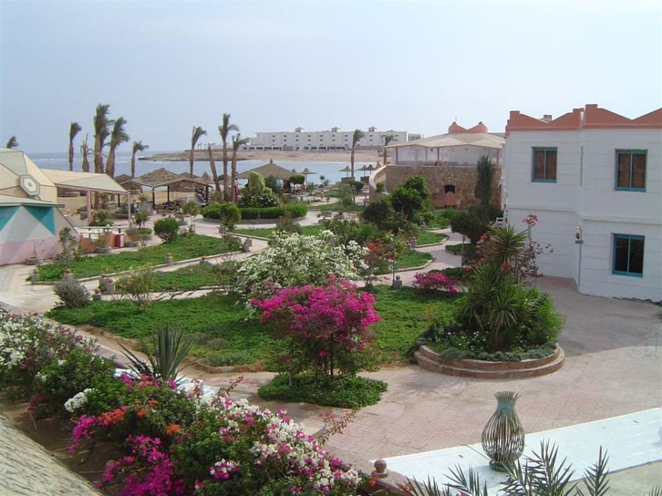 Gartenanlage Hotel Coral Garden