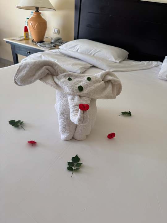 Zimmer Casa Mare Resort