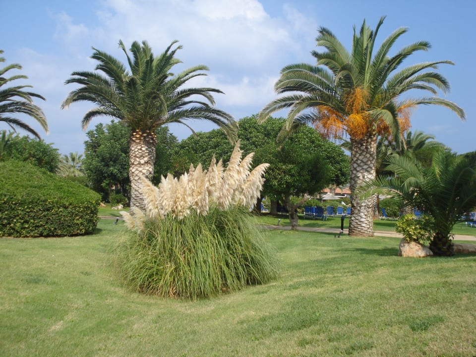 Parkanlage Anissa Beach & Village