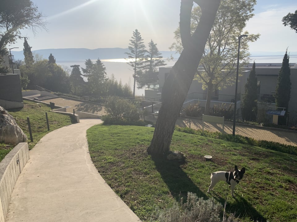 Gartenanlage Valamar Girandella Maro Suites