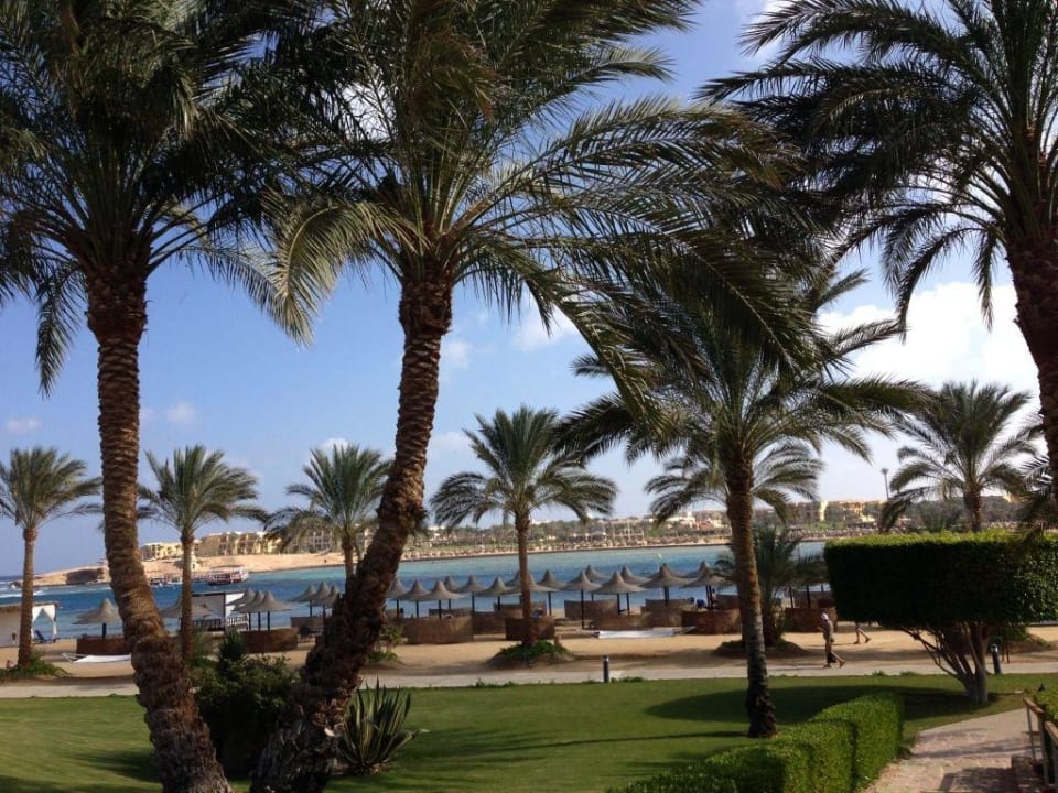 Blick zum Strand und die Bucht Steigenberger Coraya Beach - Adults only