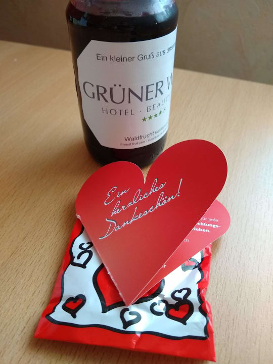 Sonstiges Hotel Grüner Wald