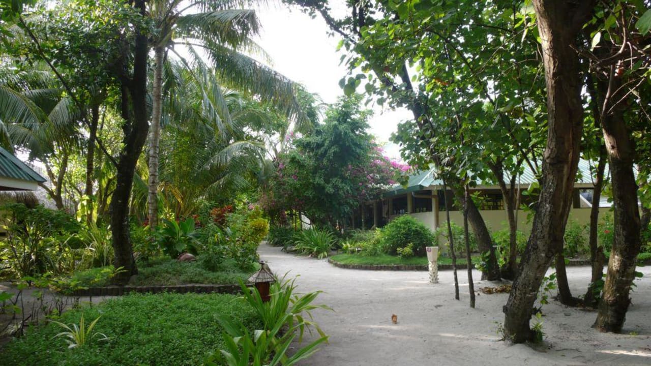 Inselinneres mit restaurant Eri Maldives