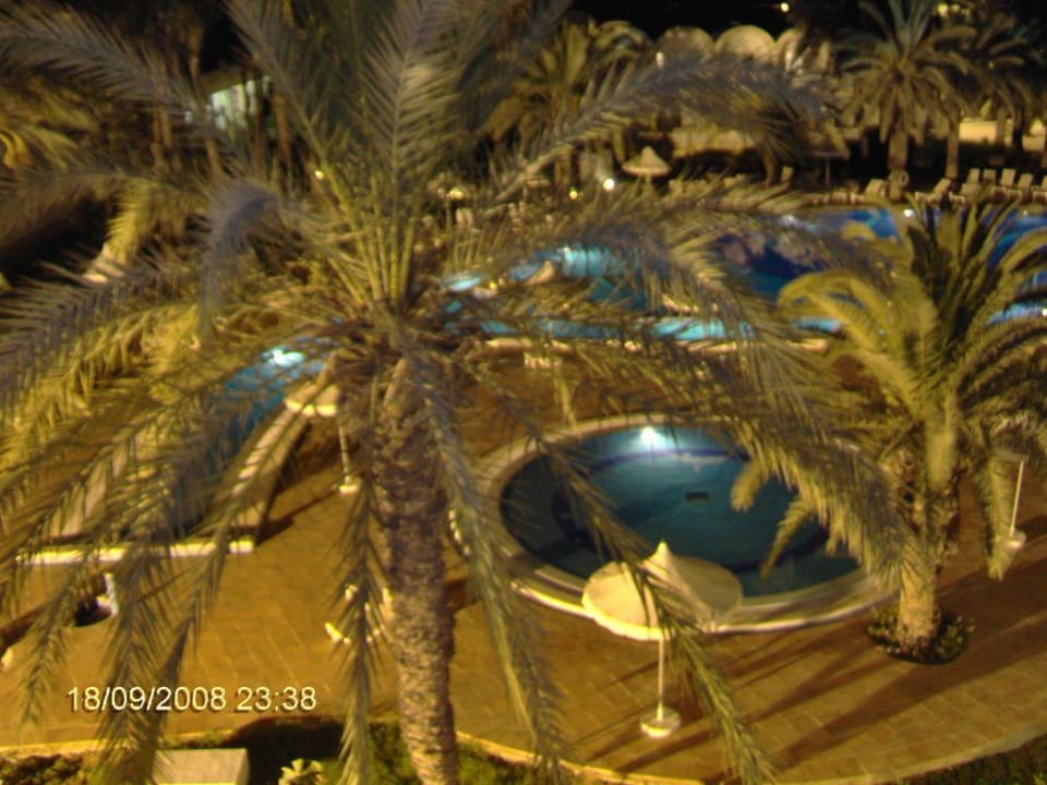 View from the rook 1237 Hotel Marhaba Club