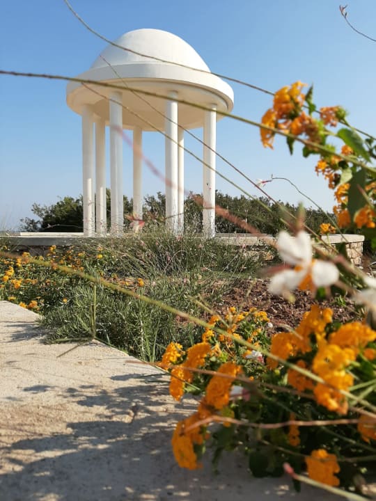 Gartenanlage Atlantica Plimmiri