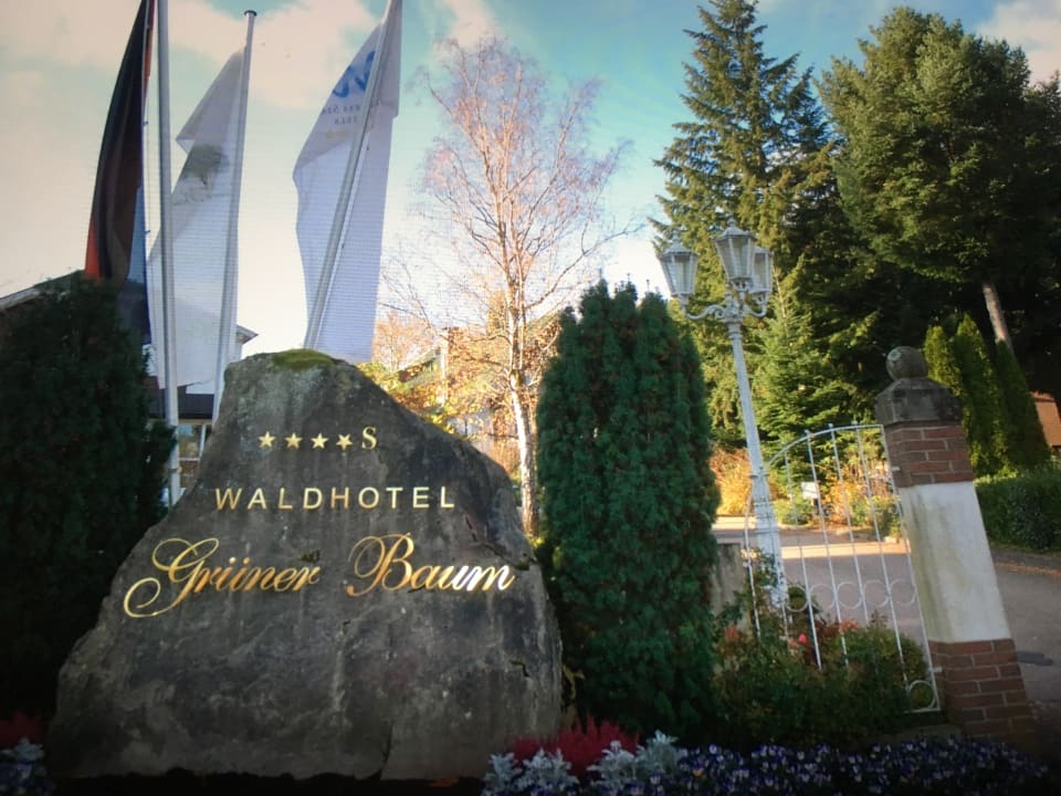 Sonstiges Waldhotel Grüner Baum