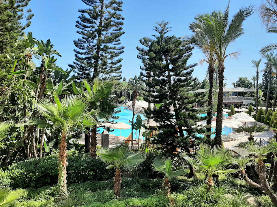 Pool Hotel Delphin Diva