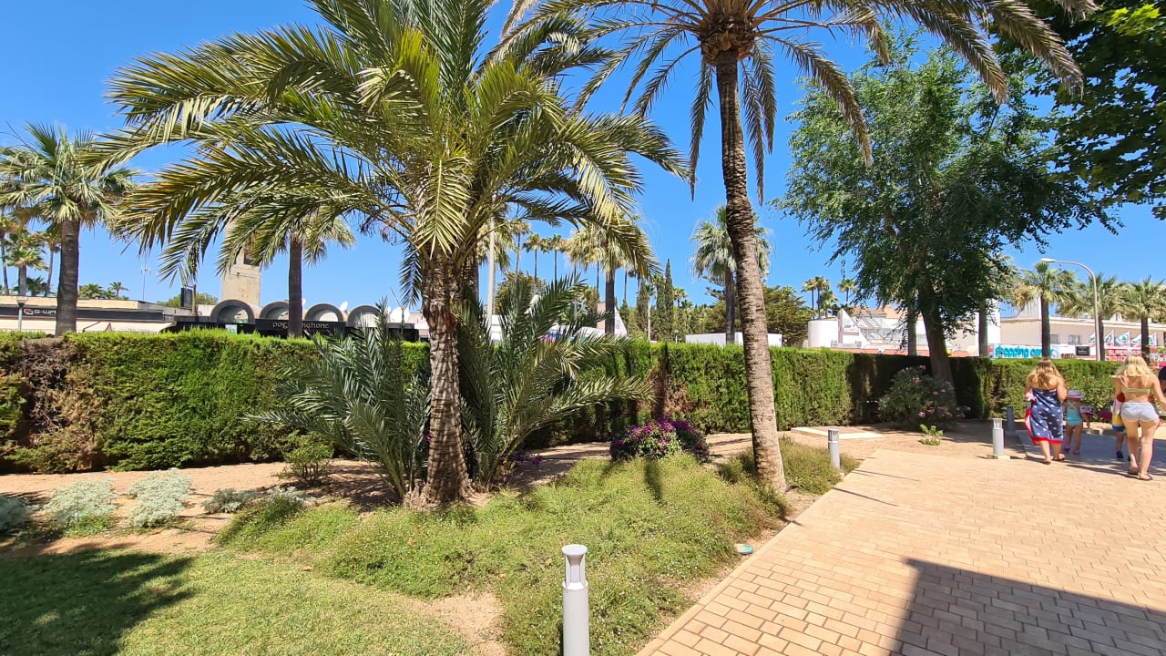Gartenanlage Hipotels Mediterraneo Club