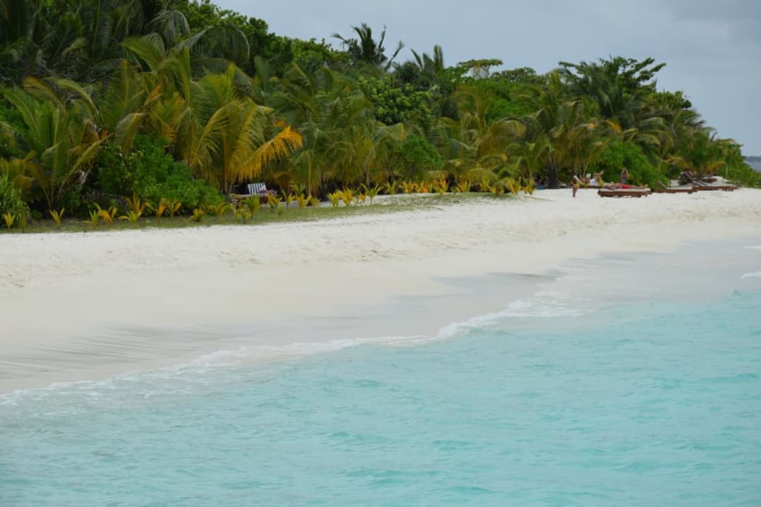 Plaża Adaaran Select Meedhupparu Island Resort - Premium All Inclusive