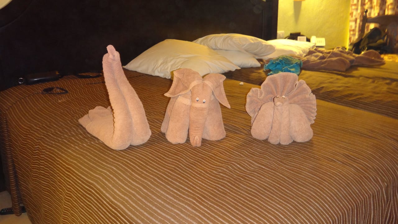 So nett ... Hotel Riu Tequila