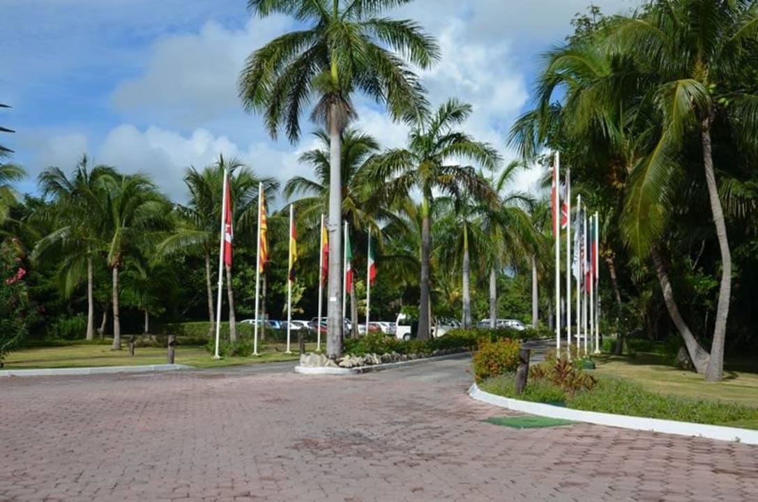 Auffahrt zum Hotel Catalonia Playa Maroma