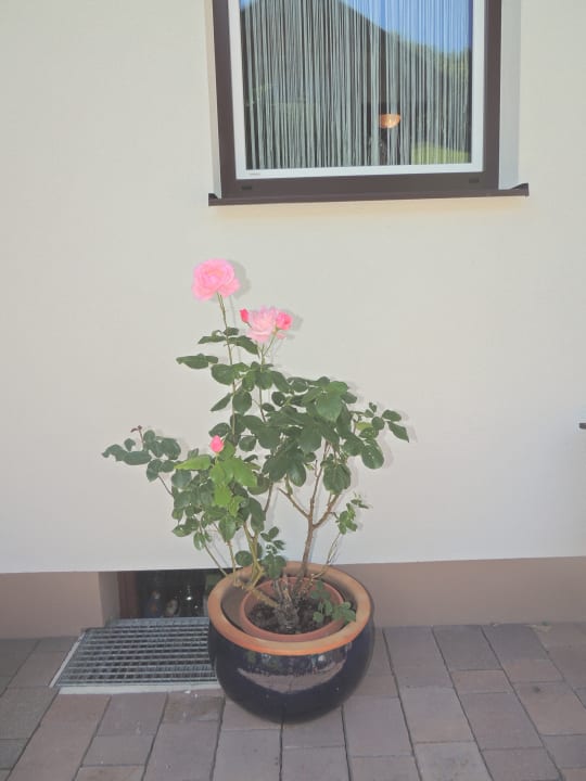 Gartenanlage Haus Bergfried