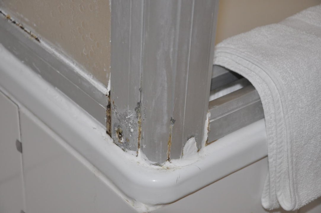 Schimmel ein edles Gewächs im Hotel Hotel Domicil Hamburg by Golden Tulip