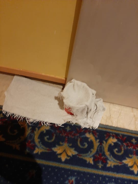 Zimmer allsun Hotel Bella Paguera