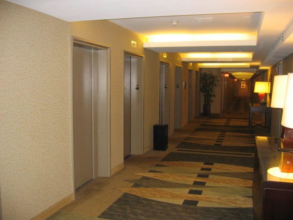 Grand Hyatt Hotel Grand Hyatt New York