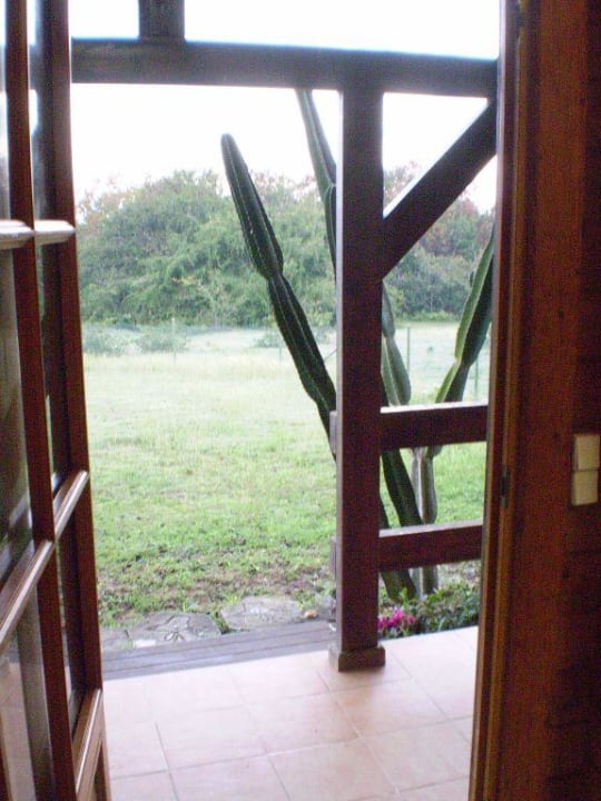 Zimmerausblick Hotel Cayo Saetia