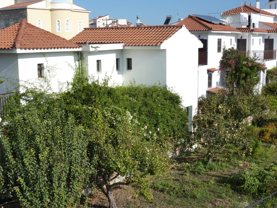 Ausblick vom Balkon Hotel Golden Sun