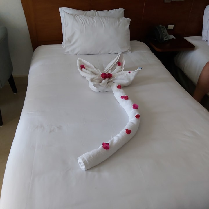 Zimmer Stella Garden Resort & Spa, Makadi Bay