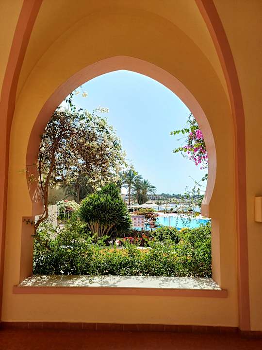 Gartenanlage Steigenberger Coraya Beach - Adults only