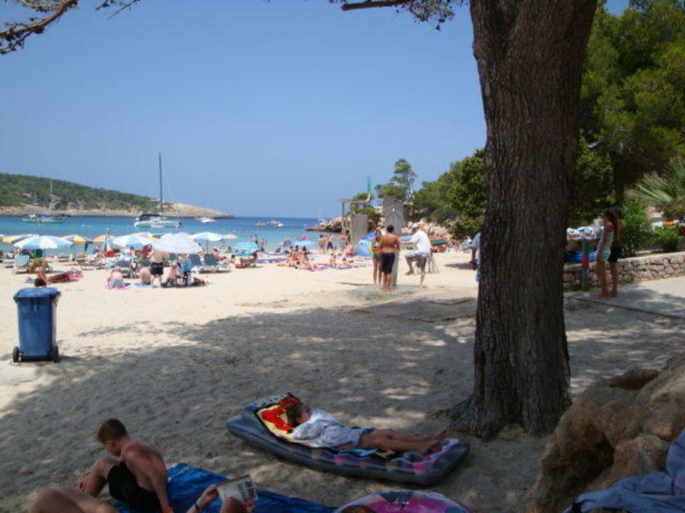 Sehr schöner Strand Sandos El Greco Beach Hotel 16+
