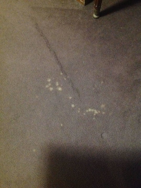 Teppichboden New York's Hotel Pennsylvania